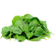 bayam hijau, organik, pupuk bayam, obat bayam